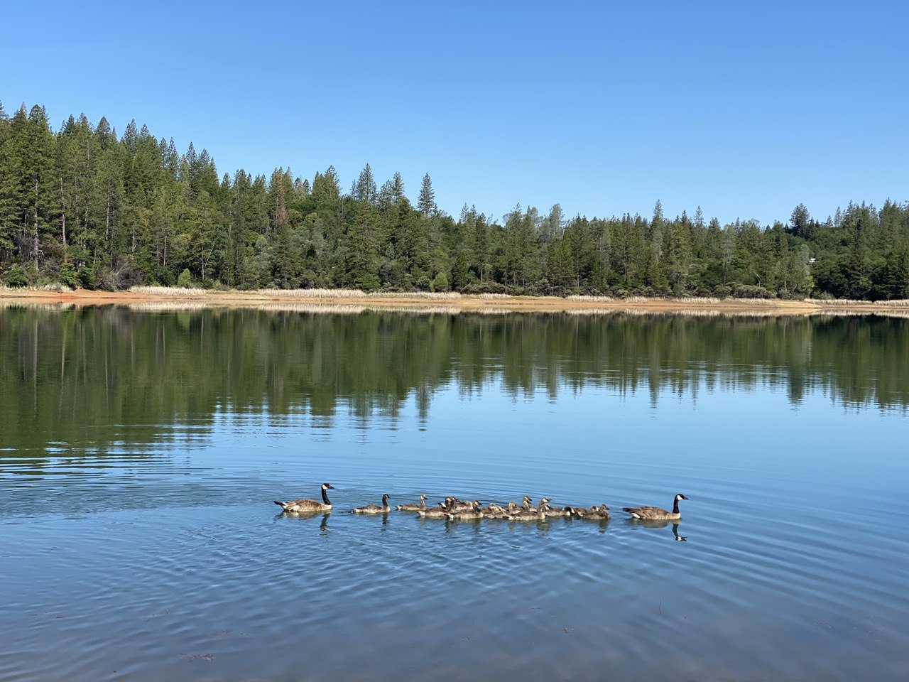 dobbins-lake-view